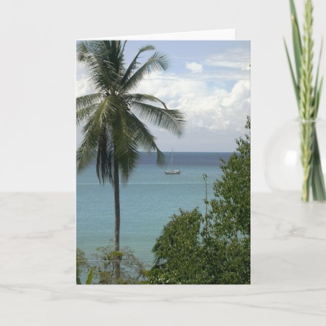 Cartão Moira at anchor, Bahia Drake, Costa Rica (Frente)