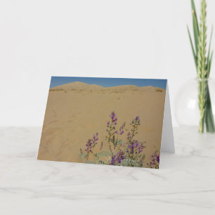 Cartão Mojave Indigo Bush e Kelso Dunes