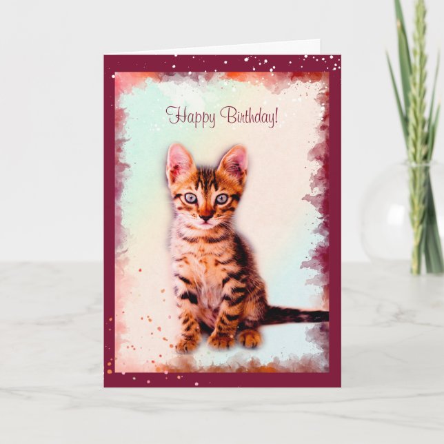 Cartão Mola De Água De Gato Tirada Do Aniversário De Gato (Frente)