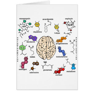 Cartão Moléculas Galore!