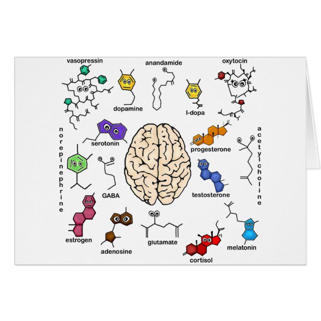 Cartão Moléculas Galore! (Frente Horizontal)