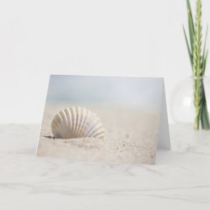 Cartão Mollusk Seashell