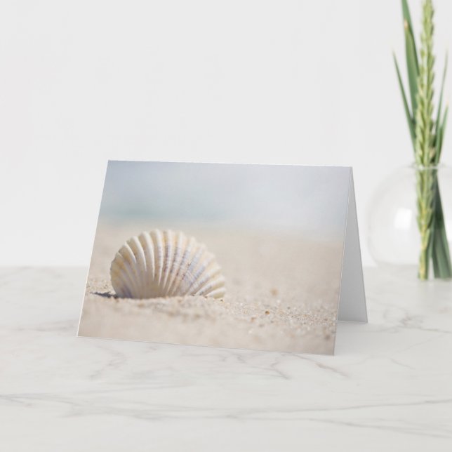 Cartão Mollusk Seashell (Frente)