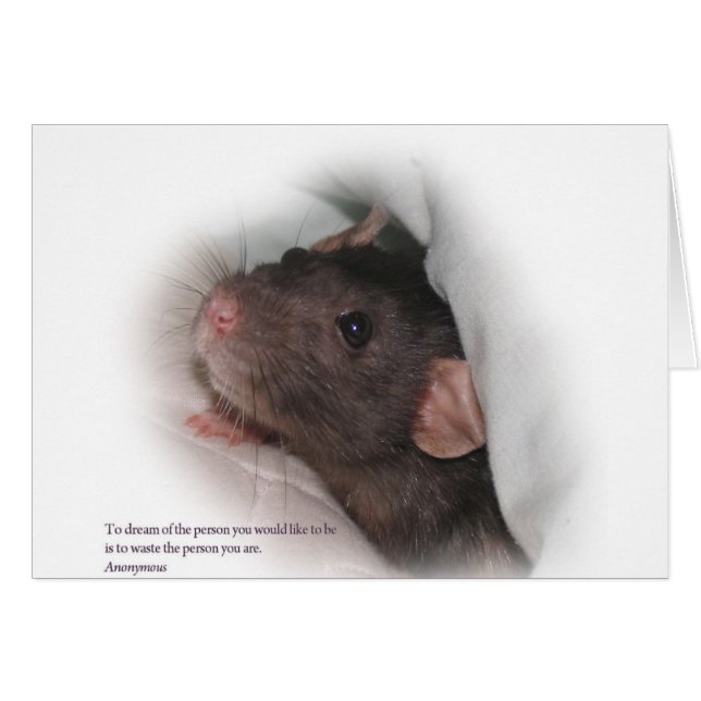 Cartão Molly1com (Frente Horizontal)