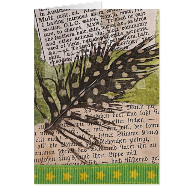 Cartão Molt ATC (Frente)