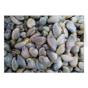 Cartão Moluscos de Venus [หอยลาย]