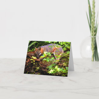 CARTÃO MOM FOX TAKES A NAP