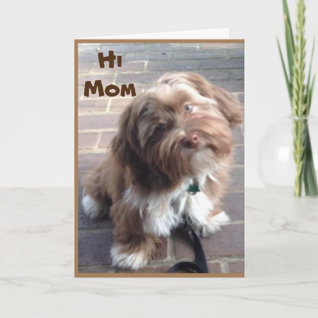 CARTÃO **MOM** NO SEU ANIVERSÁRIO DE CRIANÇAS JOVENS (Frente)