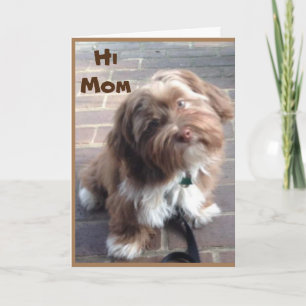 CARTÃO **MOM** NO SEU ANIVERSÁRIO DE CRIANÇAS JOVENS