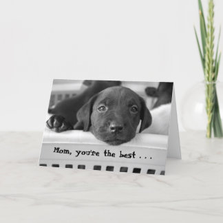 Cartão Mom, you're the best . . .