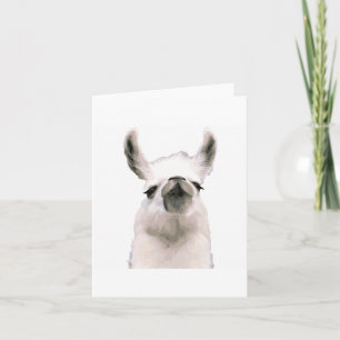 Cartão Moma Llama