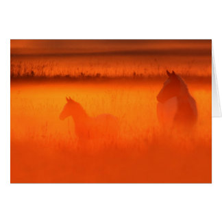 Cartão Momento do ouro