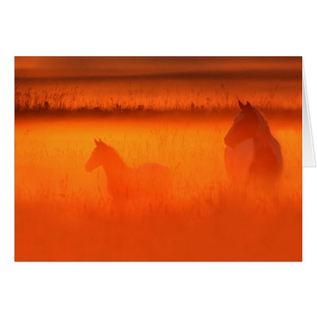 Cartão Momento do ouro (Frente Horizontal)