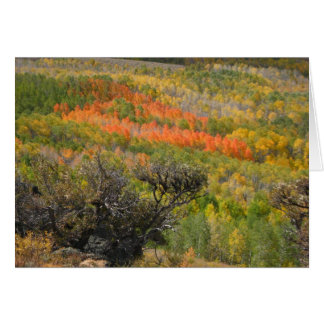 Cartão Momento Monet