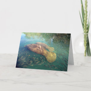 Cartão Momma and Baby Manatee Greeting Card