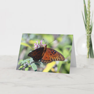 Cartão Moms Choice, Hello