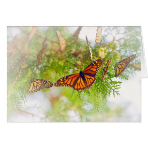 Cartão Monarca enevoado