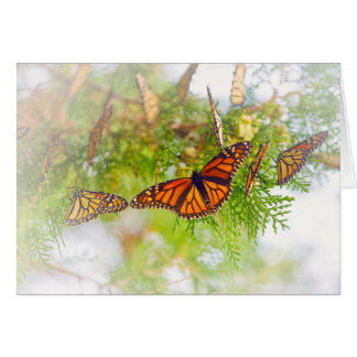 Cartão Monarca enevoado