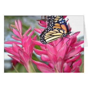 Cartão Monarca mágico