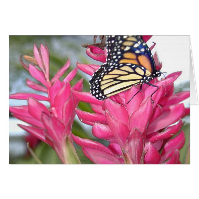 Cartão Monarca mágico (Frente Horizontal)