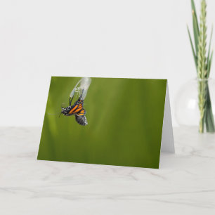 Cartão Monarch Butterfly Being Born Greeting Card