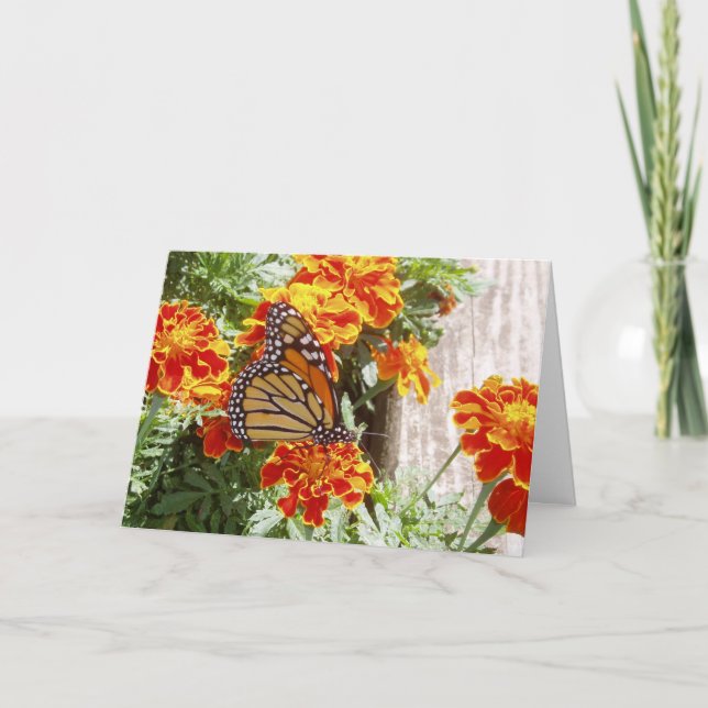 Cartão "Monarch Butterfly" Get Well Card #1 (Frente)