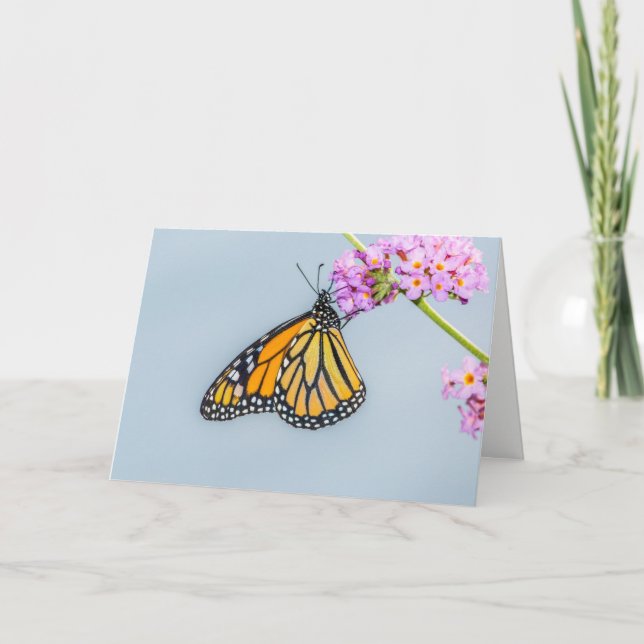 Cartão Monarch Butterfly Greeting Card (Frente)