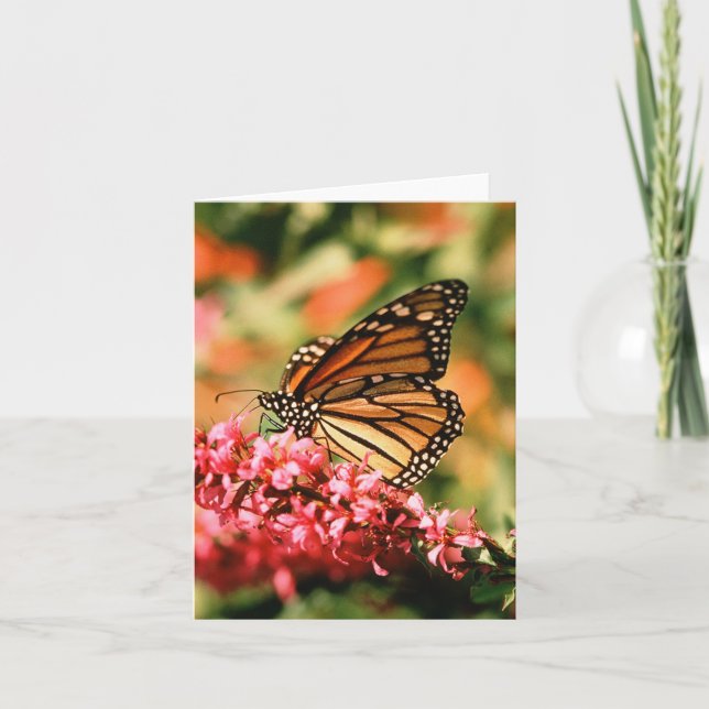 Cartão Monarch Butterfly notecards (Frente)
