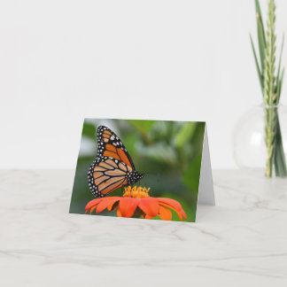 Cartão Monarch Butterfly on Flower