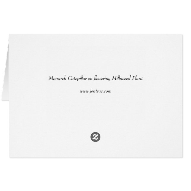 Cartão Monarch Catepillaar sobre a Flor da Milkweed (Verso Horizontal)
