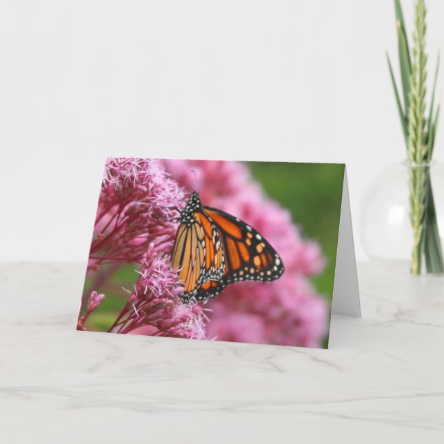 Cartão Monarch in the Weeds Greeting Card (Frente)