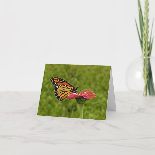 Cartão Monarch on Flower Note Card (Frente)