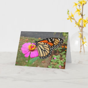 Cartão Monarch Sipping Pink Zinnia, Blank Card
