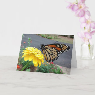 Cartão Monarch Sipping Yellow Zinnia, Blank Card