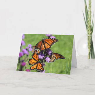 Cartão Monarch Trio