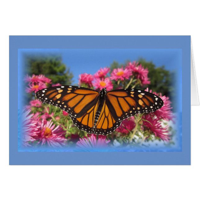 Cartão Monarch Wings - com vinheta azul (Frente Horizontal)