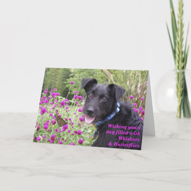 Cartão Monarch Wishes Card (Frente)