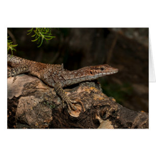 Cartão Monitor de Árvore Detectada