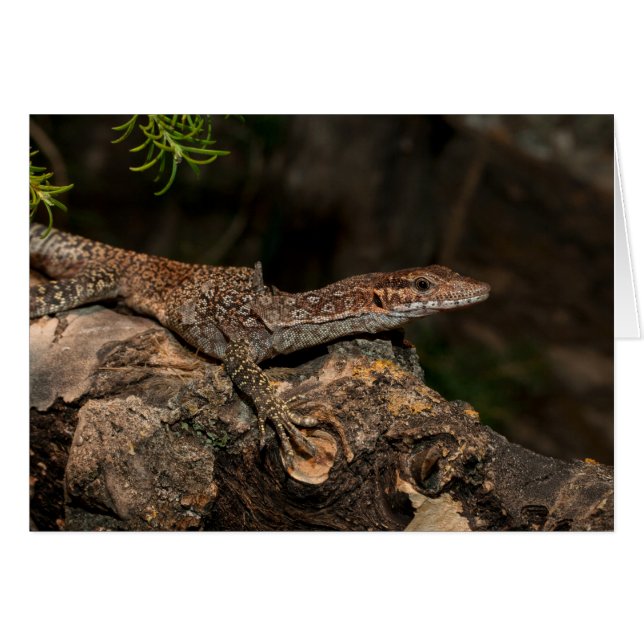 Cartão Monitor de Árvore Detectada (Frente Horizontal)