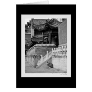 Cartão Monk Meditativo