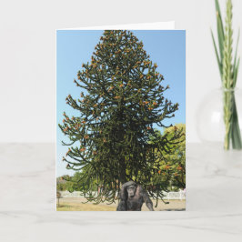 Cartão Monkey Puzzle & Puzzled Gorilla.