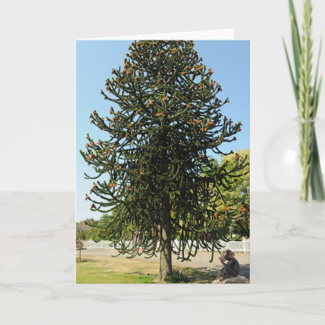 Cartão Monkey Puzzled. (Frente)