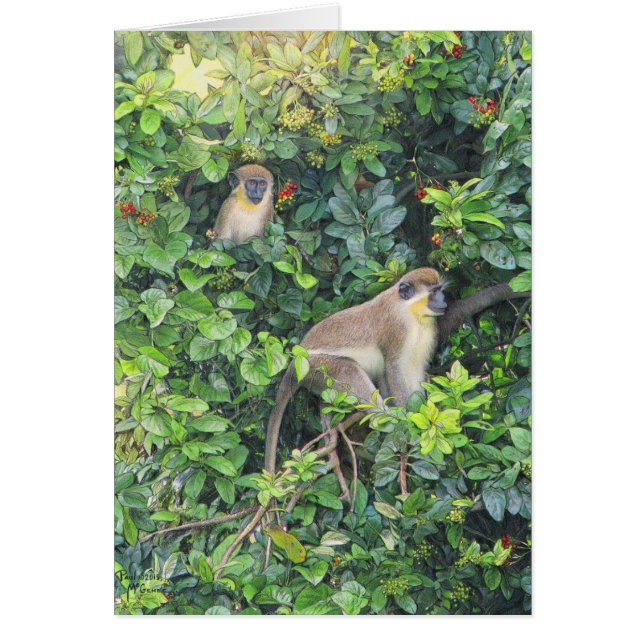 Cartão "Monkeying Around" de Paul McGehee (Frente)