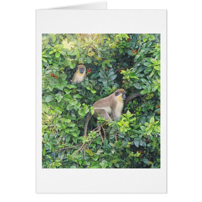 Cartão "Monkeying Around" de Paul McGehee (Frente)