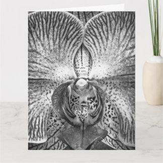 Cartão Monochrome Orchid Greeeting Card