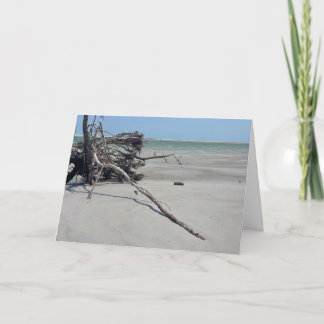 Cartão Monomoy National Wildlife Refuge in Cape Cod