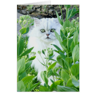 Cartão Monstro Eyed verde