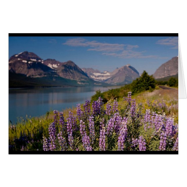 Cartão Montana - arte de Kerma (Frente Horizontal)