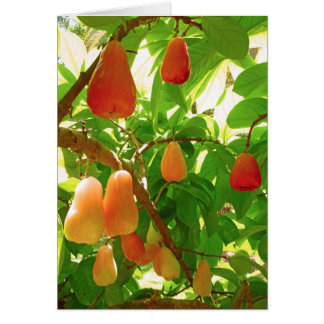 Cartão Montanha Apple