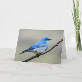 Cartão Montanha Bluebird Notecard